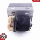 Vzduchová pružina, podvozek ESEN SKV 58SKV029