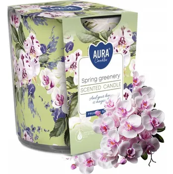 Svíčka Tradiční parafínová svíčka Jarní zeleň Aura 1 ks