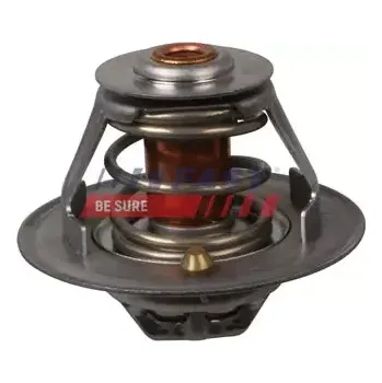 Chladič motoru Termostat, chladivo, , 133890, 4809005, 4809019, 4809509, 4823211, 500329622, 503646926, 7303615, 98463637, FAST, FT58113