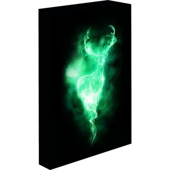 Bytová dekorace EPEE LED svítící obraz 30 x 40 cm Harry Potter Patron