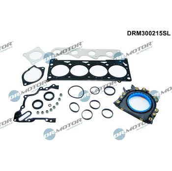Těsnění motoru Sada těsnění hlavy válce Dr.Motor Automotive DRM300215SL