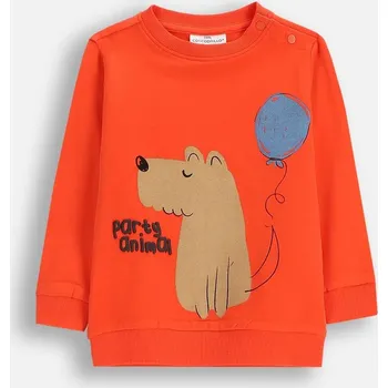 Chlapecká mikina Dětská Mikina Červená Chlapecká Tepláková 068 Coccodrillo ZC5