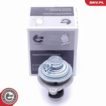 Ventil palivového systému AGR-Ventil SKV 14SKV182