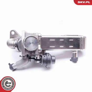 Ventil palivového systému AGR-Ventil ESEN SKV 14SKV135