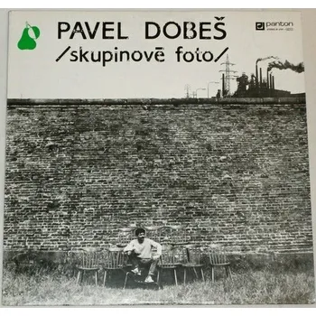 Česká hudba LP Pavel Dobeš: Skupinové foto