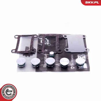 Nářadí pro automobil Sada na opravu, modul sacího potrubí ESEN SKV 49SKV526