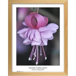 TRADAG Natura 2530-4009 30 x 40 cm…