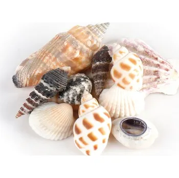 Party dekorace Mušličky v organzovém sáčku