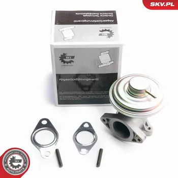 Ventil palivového systému AGR-Ventil ESEN SKV 14SKV098