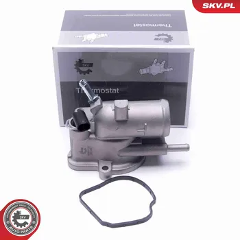 Těsnění motoru Termostat, chladivo SKV 20SKV199
