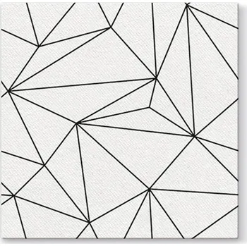 Papírový kapesník Paw Ubrousky PAW AIRLAID L 40x40cm Geometric Lines White 525465