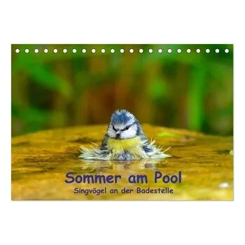 Příroda Sommer am Pool - Singvögel an der Badestelle (Tischkalender 2026 DIN A5 quer), CALVENDO Monatskalender - Plemper, Ulrich