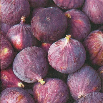 Papírový kapesník Paw Ubrousky PAW Dekor L (20ks) 301196