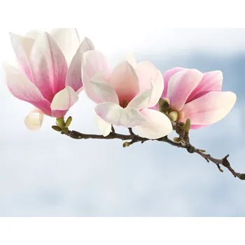 Papírový kapesník Pol-Mak Ubrousky MAKI L (20ks) Magnolia Twig Light Blue 358225