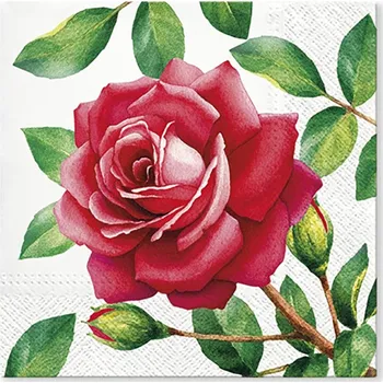 Papírový kapesník Obrousky TaT 33x33cm Special Rose 472039