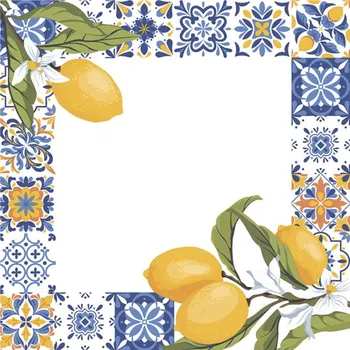 Papírový kapesník Pol-Mak Ubrousky DAISY L (20ks) Frame with Tiles and lemon Branches 607220