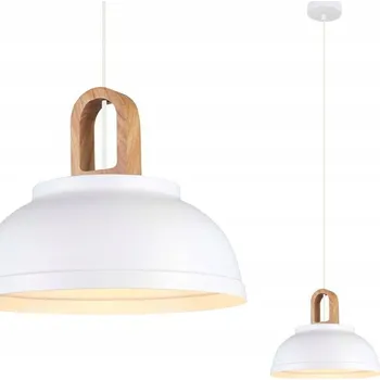 Závěsné svítidlo Italux DANITO MODERNÍ 1-bodové světlo E27