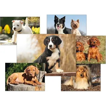 UNIPAP pohlednice sr Z037 B UV 1230299 306477