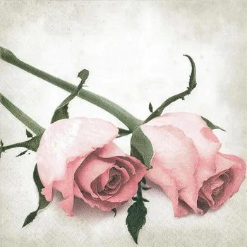 Papírový kapesník Paw Ubrousky PAW Dekor L (20ks) 301195