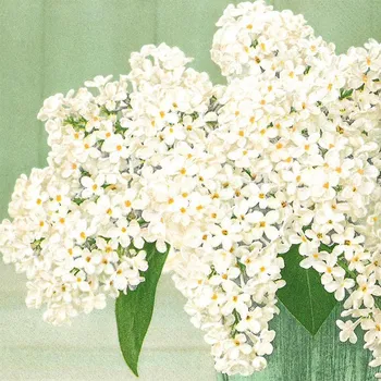 Papírový kapesník Pol-Mak Ubrousky MAKI L (20ks) White Lilac Bouquet 301130
