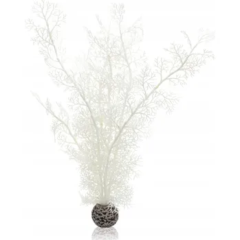 Obraz BIORB GORGONIA L BÍLÁ 39 CM 46072