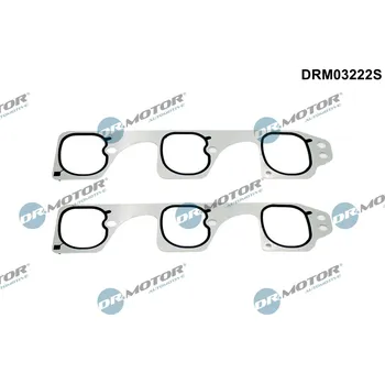 Motor automobilu Sada těsnění, koleno sacího potrubí Dr.Motor Automotive DRM03222S