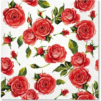 Papírový kapesník Paw Ubrousky PAW TETE L (20ks) 300343