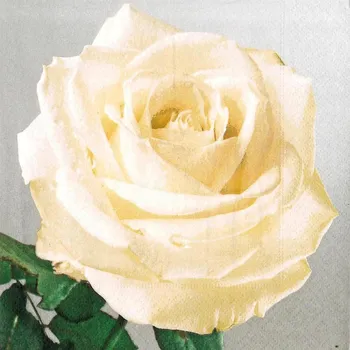 Papírový kapesník PAPER DESING Ubrousky Paper Design L (20ks) Elina 459598