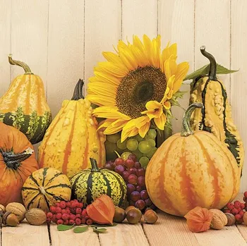 Papírový kapesník Pol-Mak Ubrousky MAKI L (20ks) Autumn Pumpkins 545399