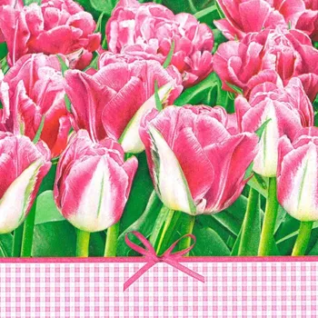 Papírový kapesník Pol-Mak Ubrousky MAKI L (20ks) Pink Tulips Time 364276