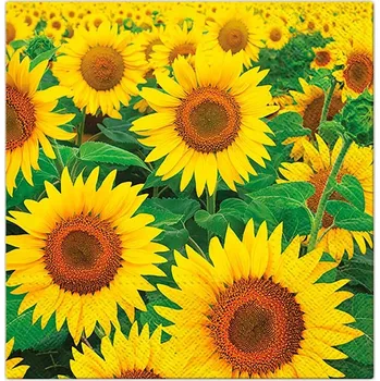 Papírový kapesník Paw Ubrousky PAW TETE L (20ks) Sunflowers Field 295901