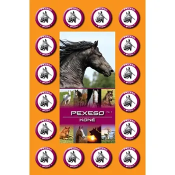 Karetní hra Petr Mičánek Pexeso A4 Koně 447445