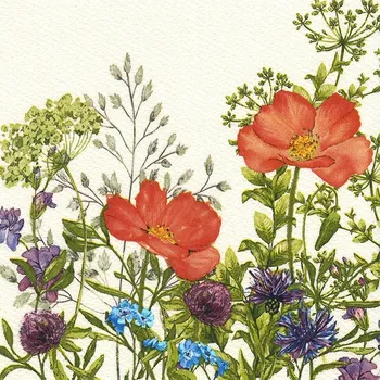 Papírový kapesník Pol-Mak Ubrousky DAISY L (20ks) Meadow in June 555992