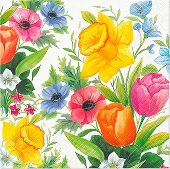 Papírový kapesník Paw Ubrousky PAW TETE L (20ks) Spring Meadow 468268