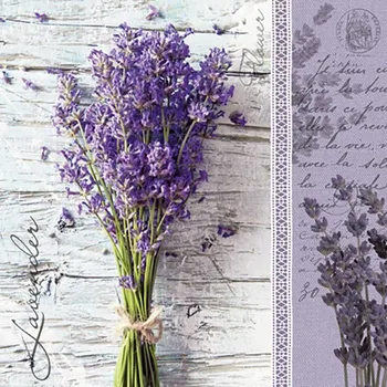 Papírový kapesník Paw Ubrousky PAW TETE L (20ks) Lavender Bouquet 578839