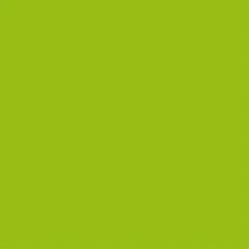 Papírový kapesník Pol-Mak Ubrousky MAKI Unikolor C (20ks) Grass Green 301183