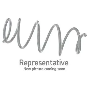 SKF VKDL 31490 Pružina podvozku (VKDL31490)