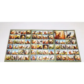 Pexeso Pexeso Les /2419 472231