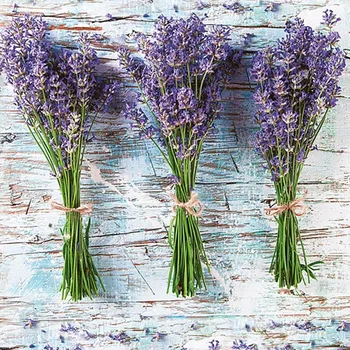 Papírový kapesník Pol-Mak Ubrousky DAISY L (20ks) Three Bunches of Lavender 295577