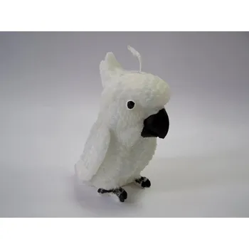 Svíčka Svíčka vonná z palmového vosku - bílý papoušek - jasmín