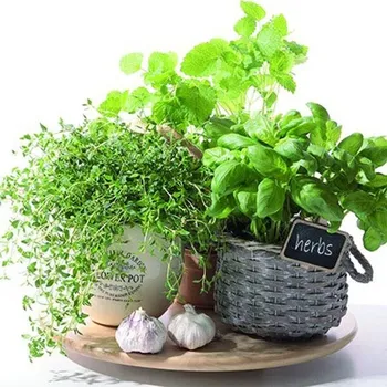 Papírový kapesník Paw Ubrousky PAW Dekor L (20ks) Flavor of Herbs 357117