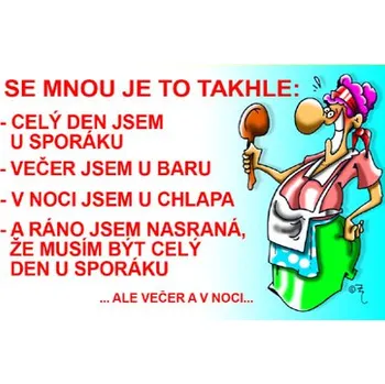 Žertovný předmět Průkaz Se mnou je to takhle