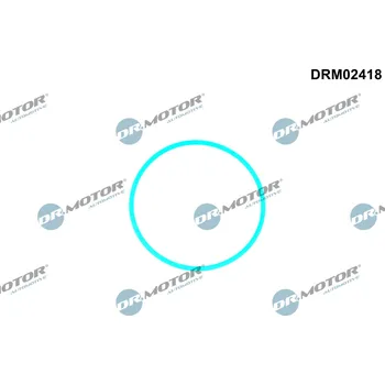 Palivový systém Těsnění palivového čerpadla Dr.Motor Automotive DRM02418