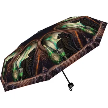 Deštník Deštník s kočkou a zelenou vílou - skládací - design Lisa Parker