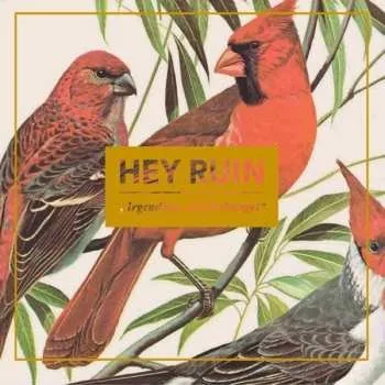 Zahraniční hudba CD Hey Ruin: Irgendwas mit Dschungel 2016