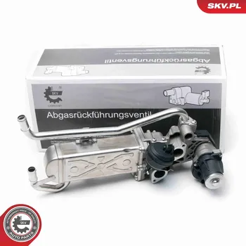 Ventil palivového systému AGR-Ventil ESEN SKV 14SKV096