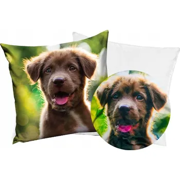 Polštář POVLAK na polštář PES WELWET + POLŠTÁŘ 40x40