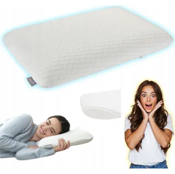 Polštář WELLPUR VIGLEN 40 x 60 cm