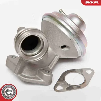 Ventil palivového systému AGR-Ventil ESEN SKV 14SKV075