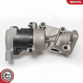 Ventil palivového systému AGR-Ventil ESEN SKV 14SKV073